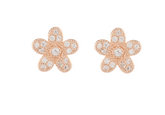 Charming Flower Design Rose Gold Colour 925 Sterling Silver Earrings studded with CZ